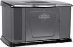 Генератор Briggs & Stratton GEN 11000 (040491)