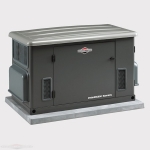 Генератор Briggs & Stratton GEN 14000 (040489)