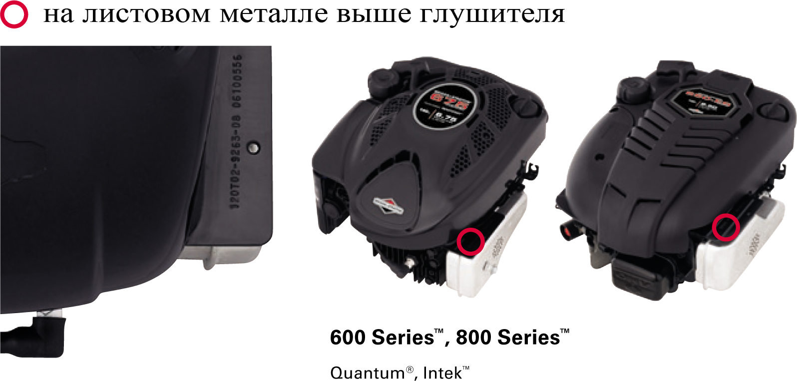 ❊ Briggs and Stratton ❊ USA ❊ Пример определения ❊